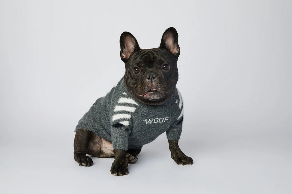 WOOF Knit Dog Sweater — Thick Cotton Jumper for French Bulldogs & Small-Medium Dogs | S–3XL