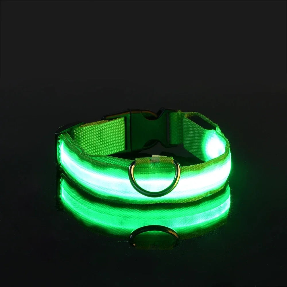 LED Glow Dog Collar & Leash | Nylon Night Safety Flashing Collar