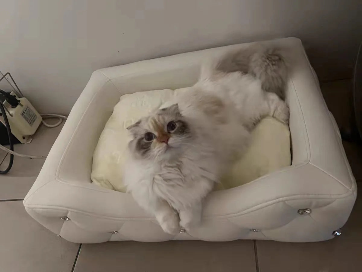 Light Luxury with Drill Dog Beds Pet Small Dog House Four Seasons Universal Dirt-resistant Waterproof Pet Supplies Home Dog Mat Fashioned Furbabies