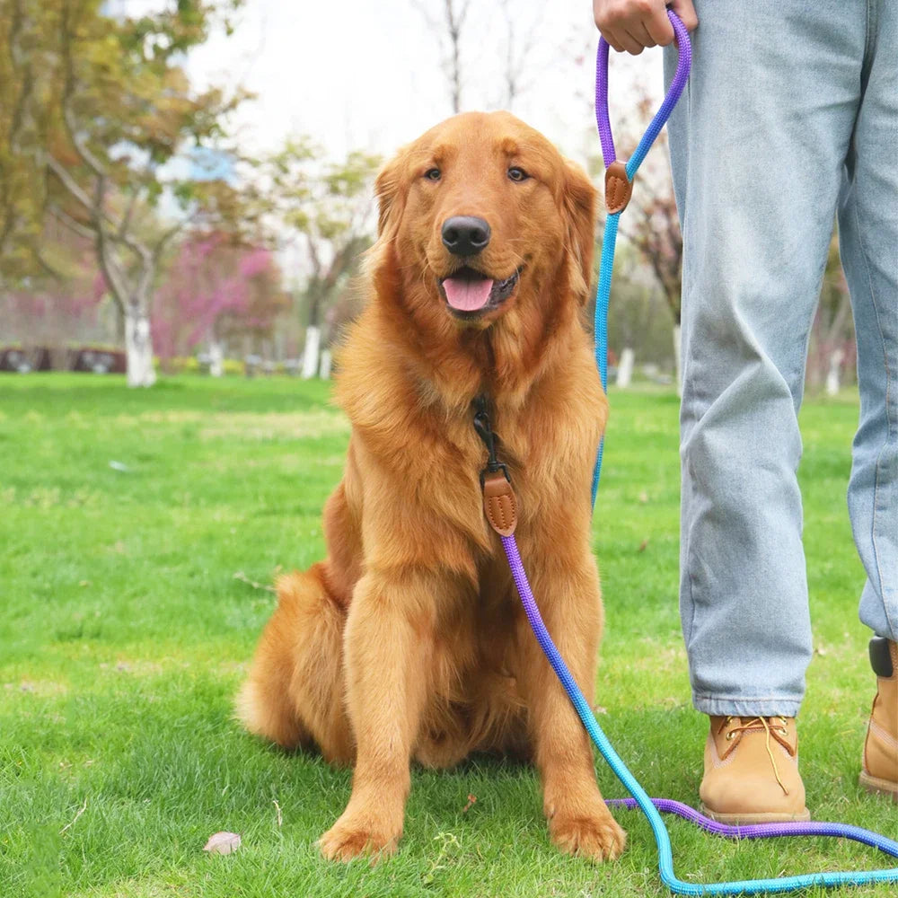 Hands-Free Crossbody Double Dog Leash — Adjustable Nylon Running & Walking Leash | 5 Prints | 92.5"