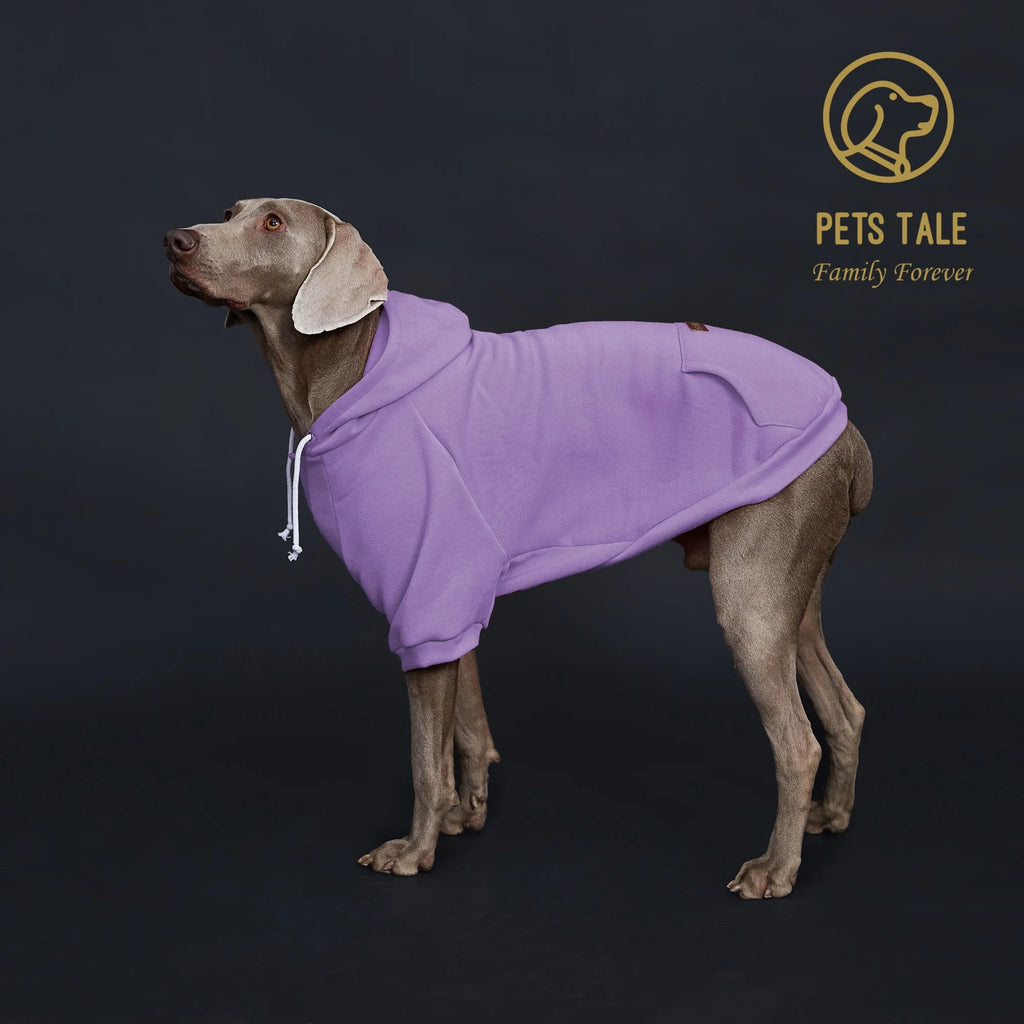 Dog Hoodie with Pocket, Leather Patch, Hook and Loop Fastener Collar -