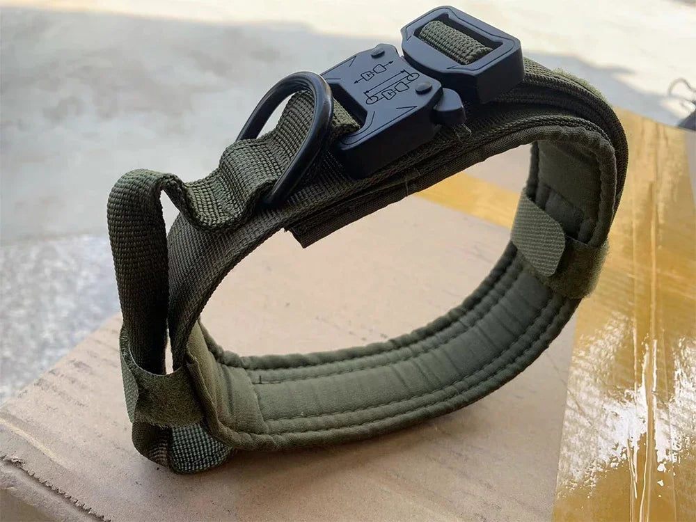 Tactical Dog Collar with Control Handle — 1000D Nylon, Double Closure & D-Ring | Collar Only or Collar & Leash Set | M–XL
