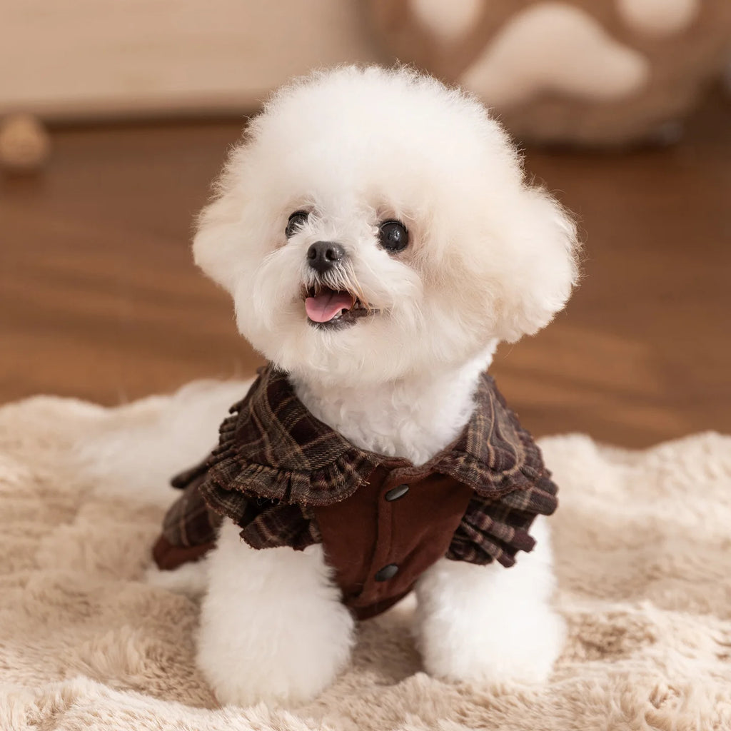 Autumn and Winter Pet Plaid Couple Outfit Thin Dress Hoodie Cat Teddy Jacket Dog Dresses for Small Dogs Puppy Clothes
