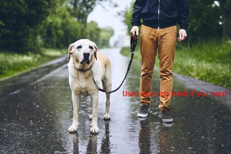 Reflective Elastic Dog Car Seat Belt & Leash