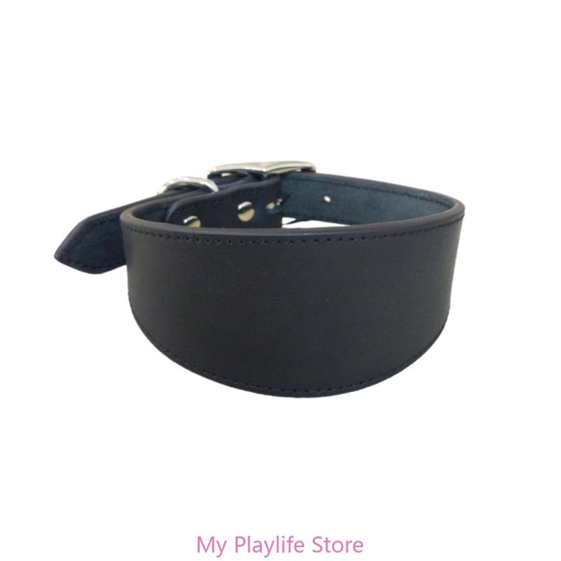 Padded Leather Sighthound Dog Collar