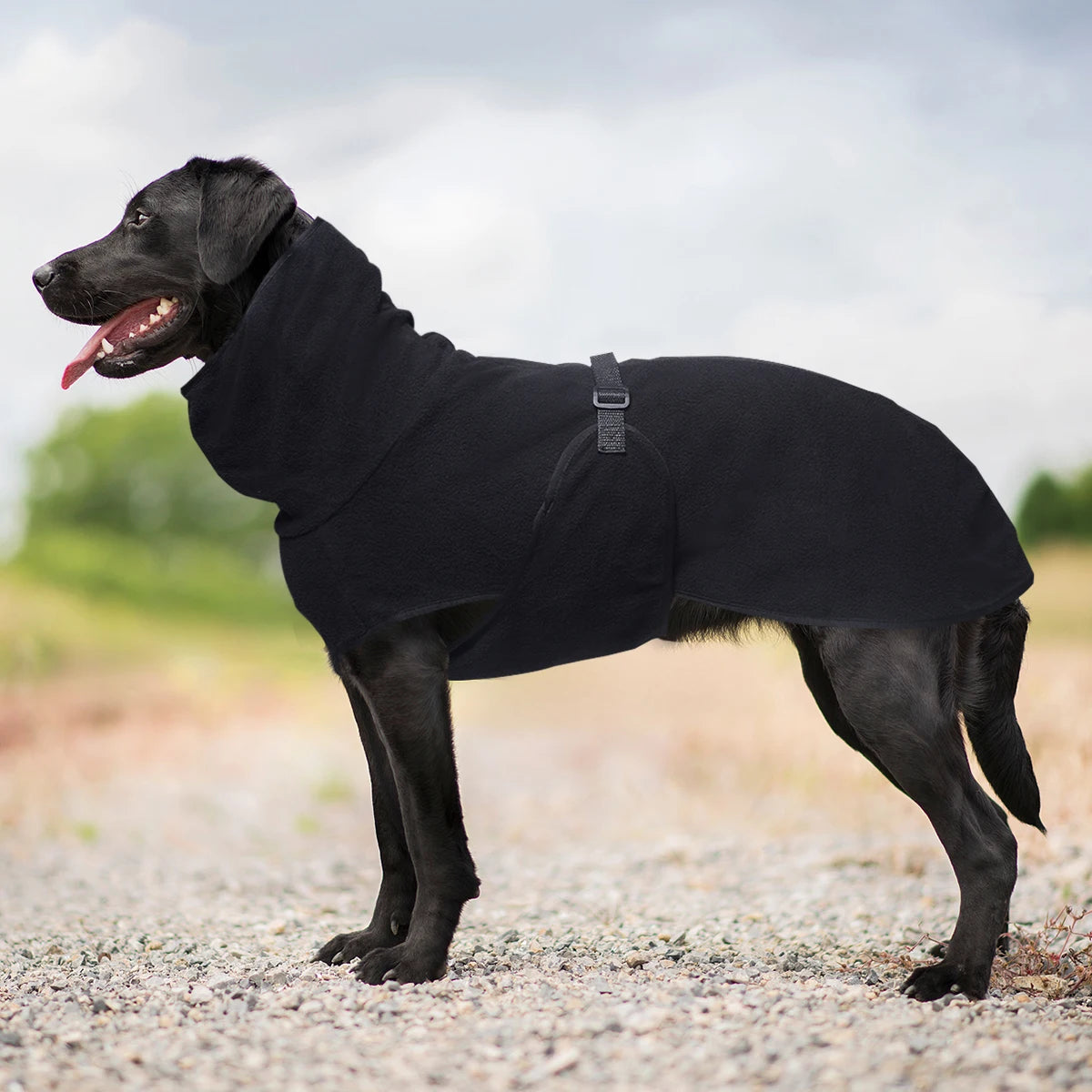 Fleece Winter Coat for Large Dogs — Warm Adjustable Jumper for Labs, Retrievers & Large Breeds | XL–5XL