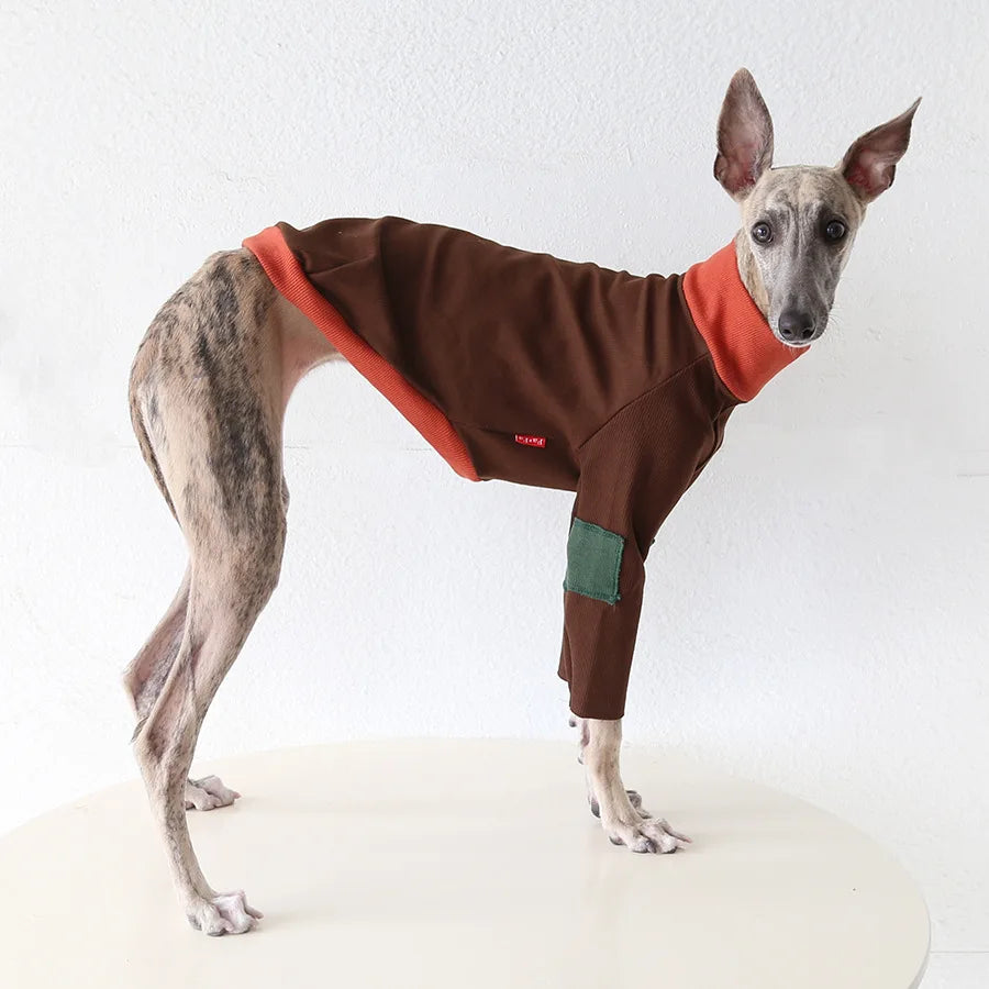 Winter Knitted Thing Dog Greyhound 2 Legged  Long Sleeve Pet Shirts Slim Dog Whibitt Pajamas Sweatshirts Knitwear