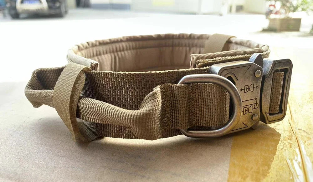 Tactical Dog Collar with Control Handle — 1000D Nylon, Double Closure & D-Ring | Collar Only or Collar & Leash Set | M–XL