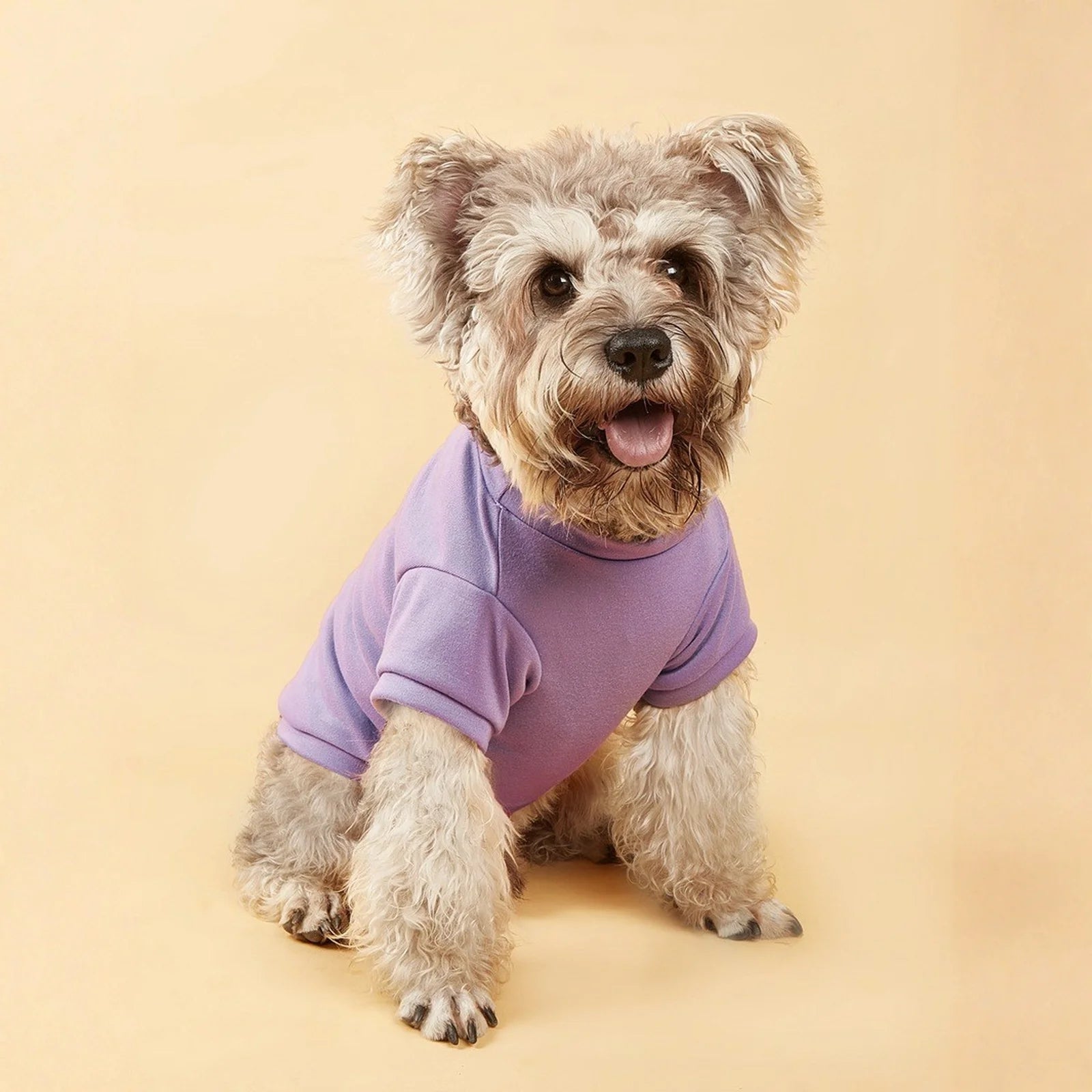 Lightweight Dog T-Shirt