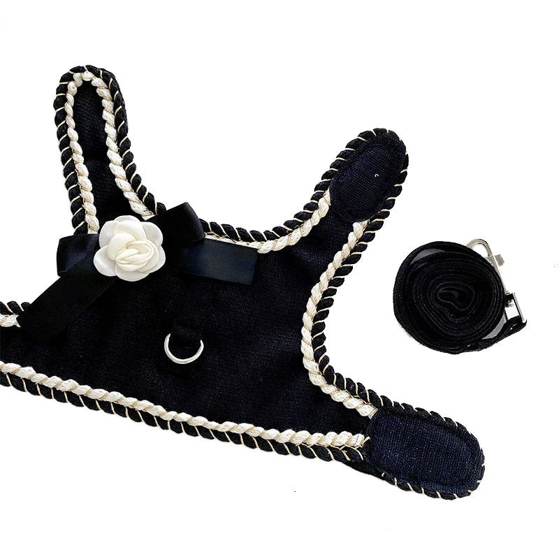 Designer Dog Harness & Leash Set