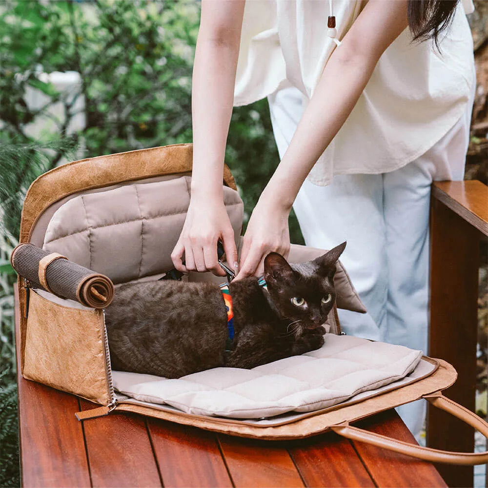 Windproof PU Leather Pet Carrier Bag — Warm Travel Handbag with Dual Mats for Small Dogs & Cats | Black & Brown