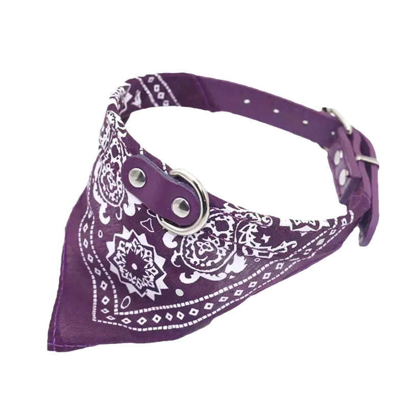 Dog & Cat Collar with Scarf | Adjustable PU Collar | XS–XL