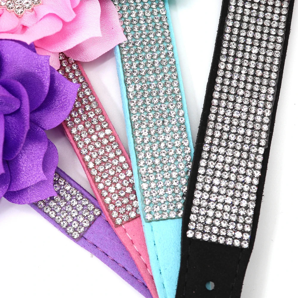 Rhinestone Dog Collar — Glitter Floral Suede Leather Collar & Optional 4ft Leash Set | Black, Blue, Pink & Purple | XS–L
