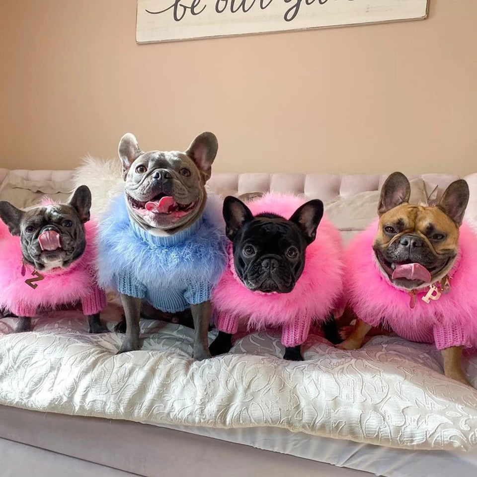 Luxury Fur Dog Coat — Warm Core Yarn Sweater for French Bulldogs, Pugs & Small Breeds | Autumn & Winter | 3 Colors