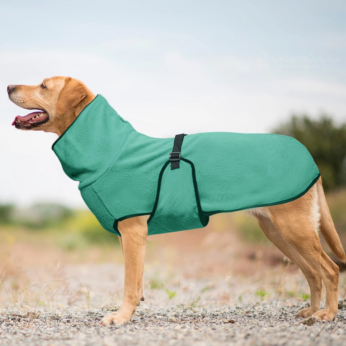 Fleece Winter Coat for Large Dogs — Warm Adjustable Jumper for Labs, Retrievers & Large Breeds | XL–5XL