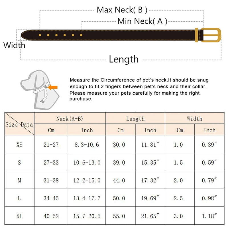 Dog & Cat Collar with Scarf | Adjustable PU Collar | XS–XL