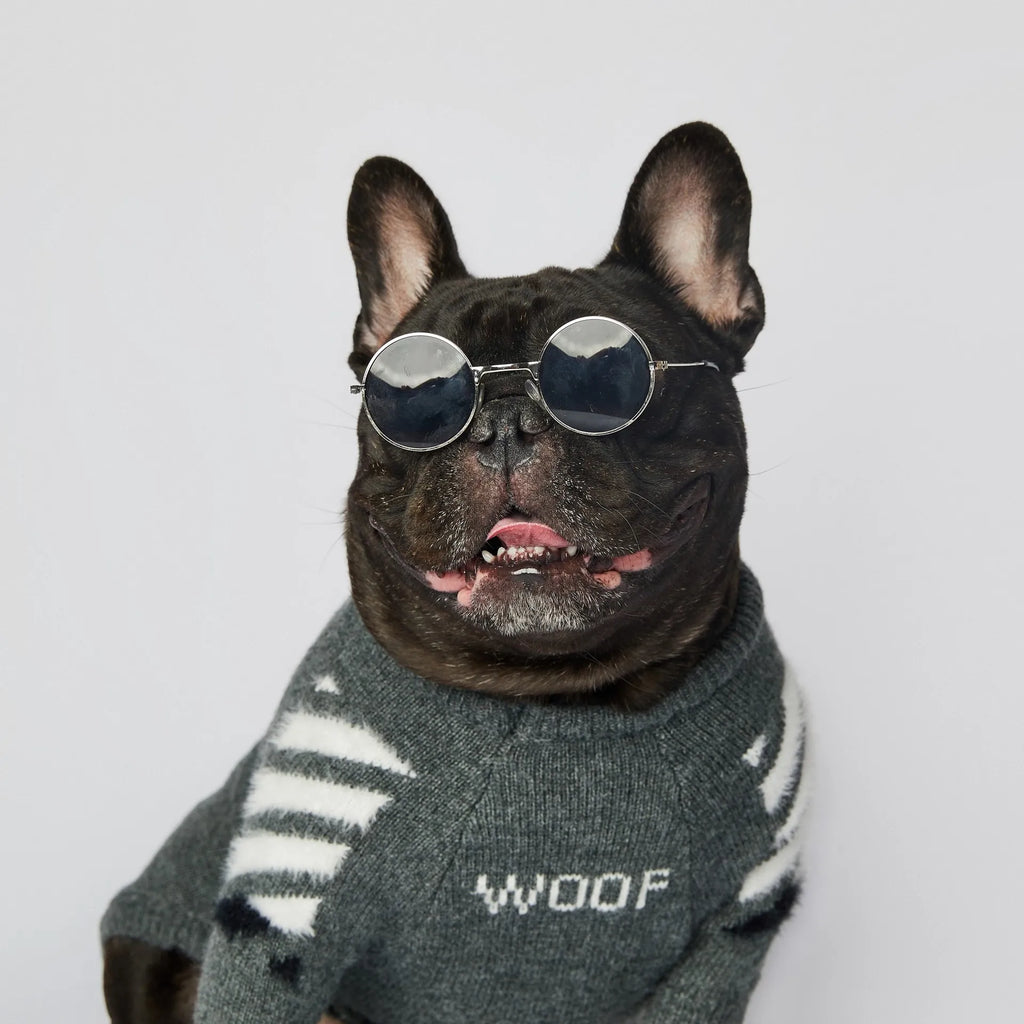 WOOF Knit Dog Sweater — Thick Cotton Jumper for French Bulldogs & Small-Medium Dogs | S–3XL