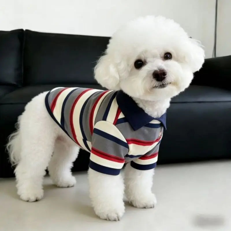 Summer Short-Sleeve Dog Vest & T-Shirt — Breathable Cooling Wear for Dogs | S–3XL