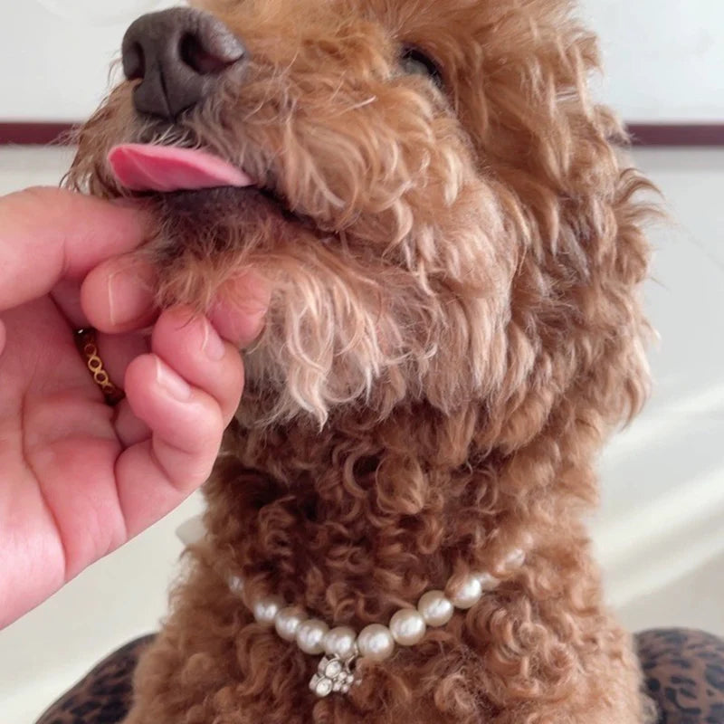 Luxury Pearl & Rhinestone Dog Necklace Collar | Bling Pet Collar | S–L