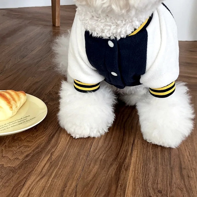Colorblock Baseball Jacket for Small Dogs — Fleece Letter Print Coat | XS–XL