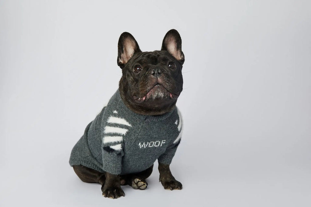 WOOF Knit Dog Sweater — Thick Cotton Jumper for French Bulldogs & Small-Medium Dogs | S–3XL
