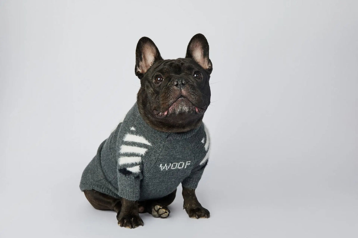 WOOF Knit Dog Sweater — Thick Cotton Jumper for French Bulldogs & Small-Medium Dogs | S–3XL