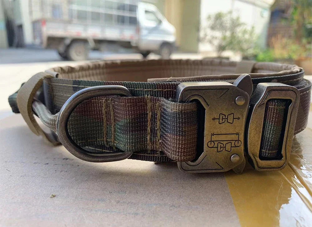 Tactical Dog Collar with Control Handle — 1000D Nylon, Double Closure & D-Ring | Collar Only or Collar & Leash Set | M–XL