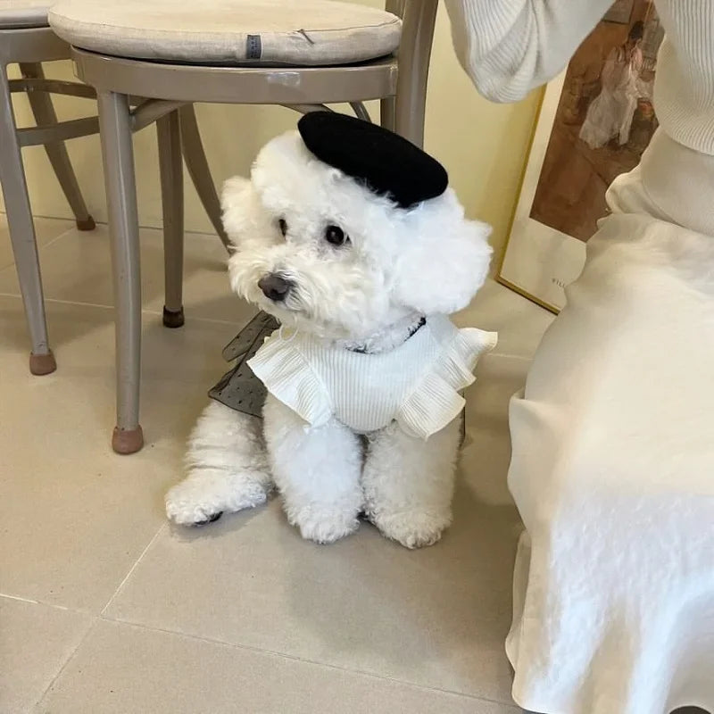 Bow Lace Dog Dress