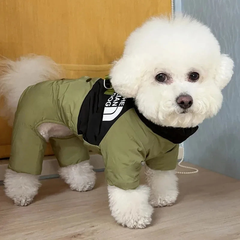 Four Legs Dog Face Design