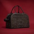 Windproof PU Leather Pet Carrier Bag — Warm Travel Handbag with Dual Mats for Small Dogs & Cats | Black & Brown