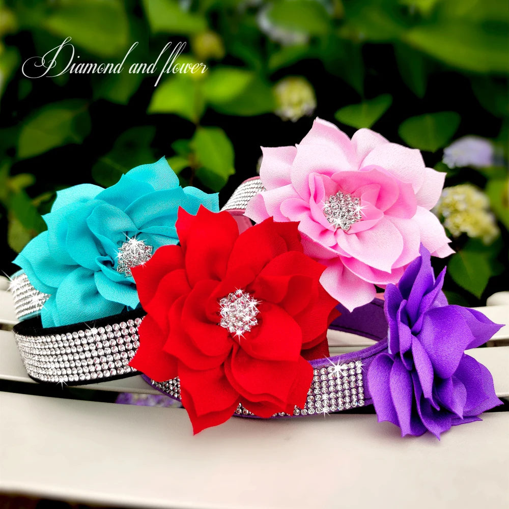 Rhinestone Dog Collar — Glitter Floral Suede Leather Collar & Optional 4ft Leash Set | Black, Blue, Pink & Purple | XS–L