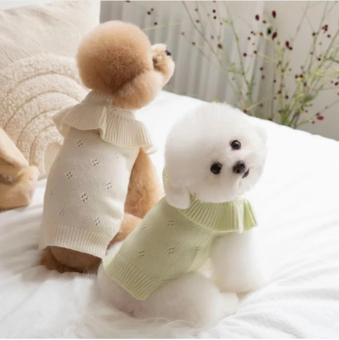 Cashmere Knit Dog Sweater