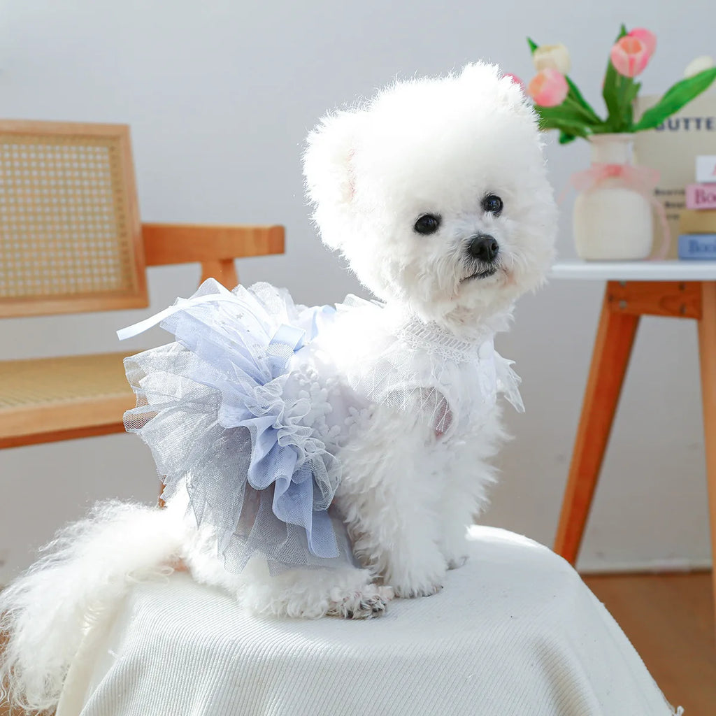 Princess Dog Dress