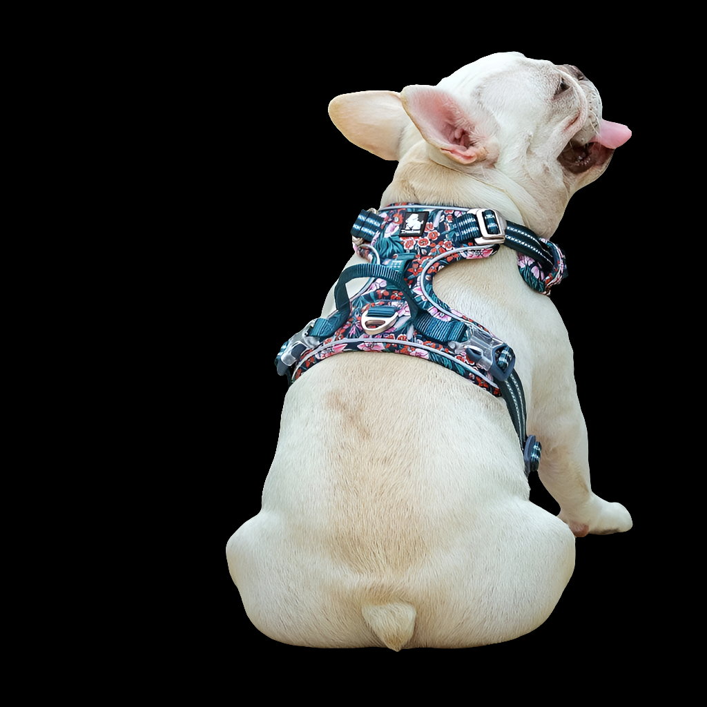 Pet Harness Small Medium Large Split Dog Fashion Outdoor Fashioned Furbabies