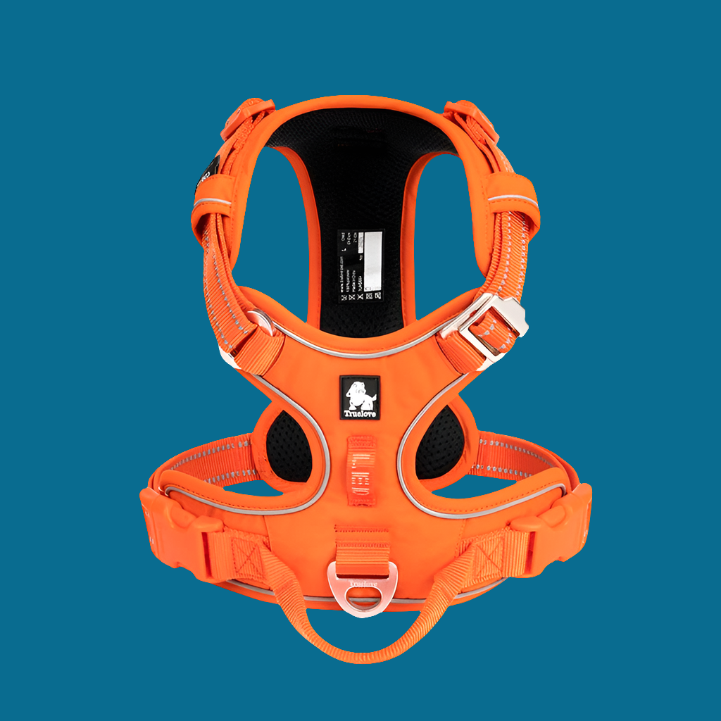 Pet Harness Small Medium Large Split Dog Fashion Outdoor Fashioned Furbabies