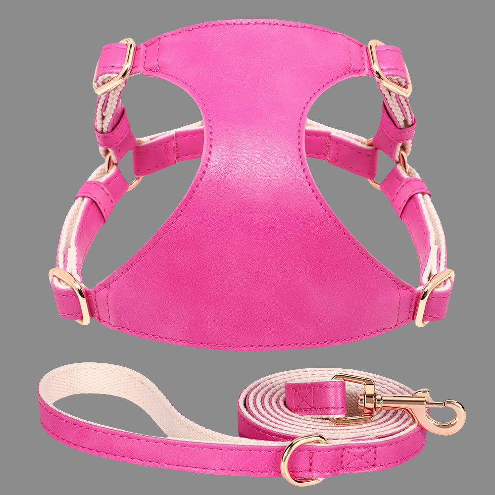 The Milano Leather Harness & Leash Set