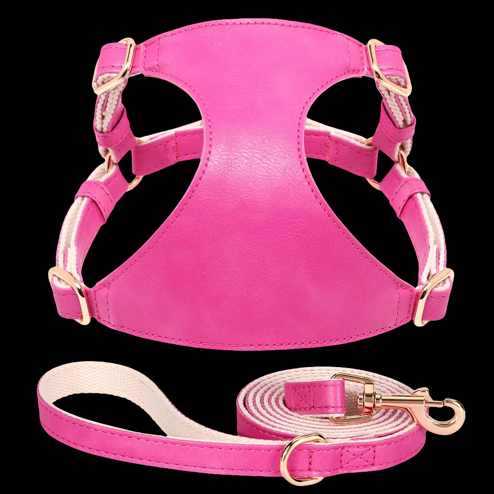 The Milano Leather Harness & Leash Set