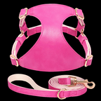 The Milano Leather Harness & Leash Set