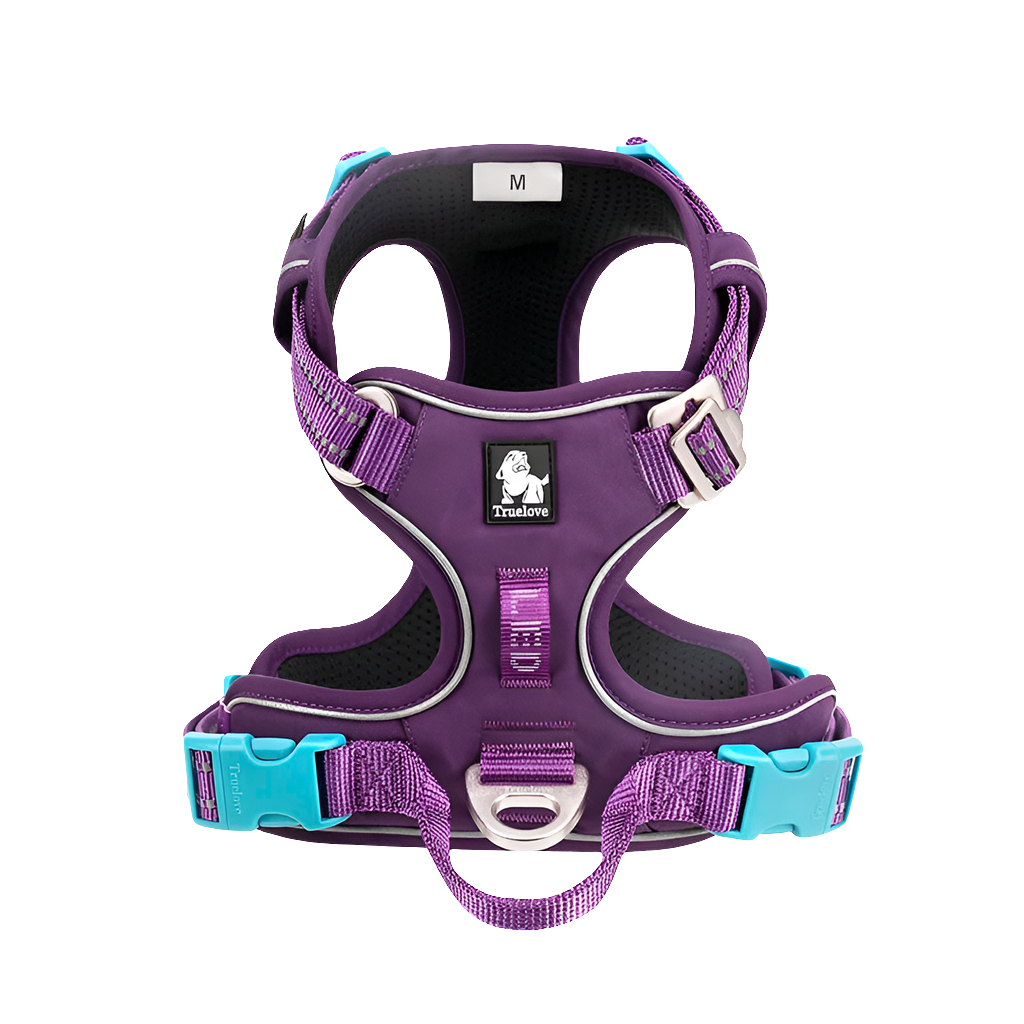 Pet Harness Small Medium Large Split Dog Fashion Outdoor Fashioned Furbabies