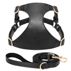 The Milano Leather Harness & Leash Set
