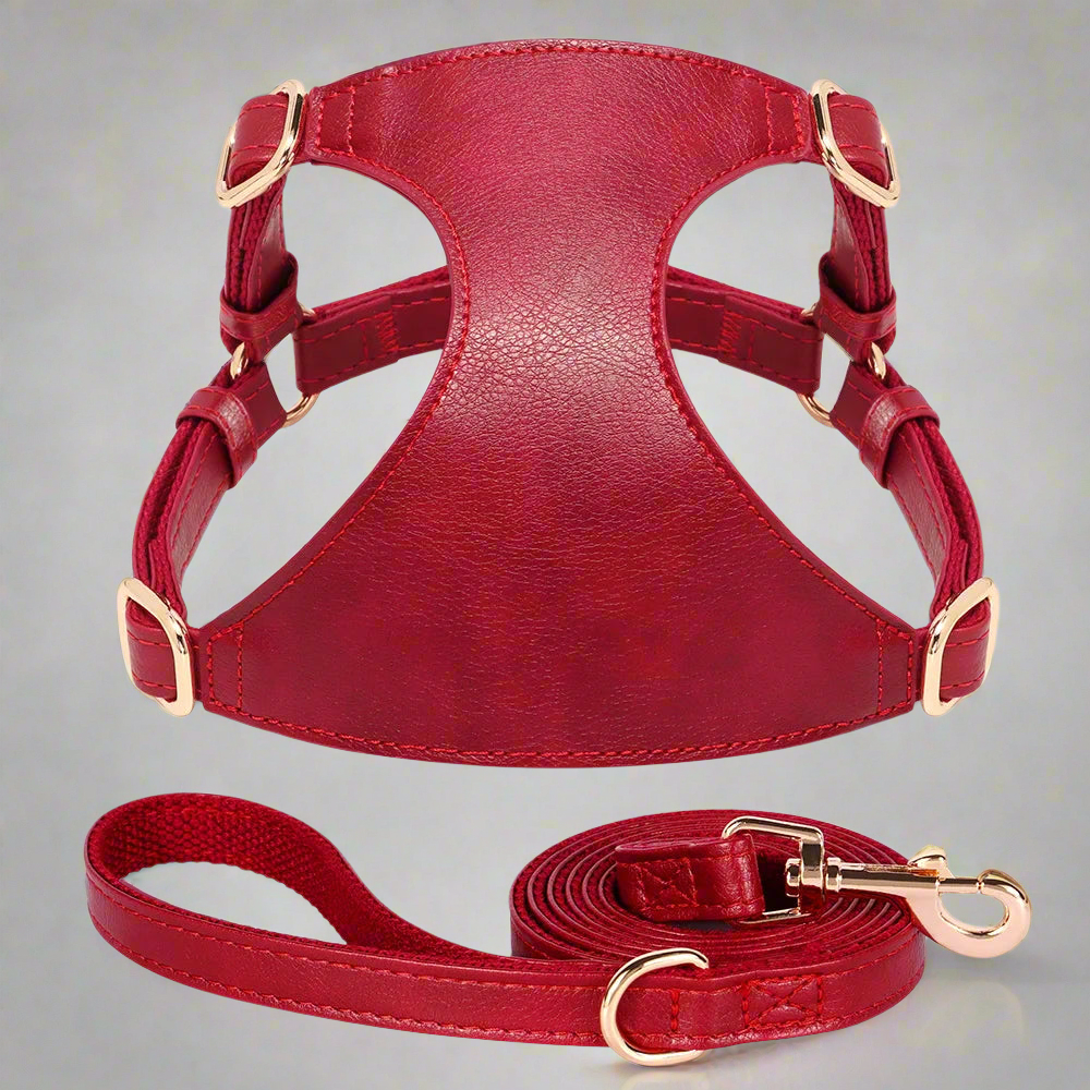 The Milano Leather Harness & Leash Set
