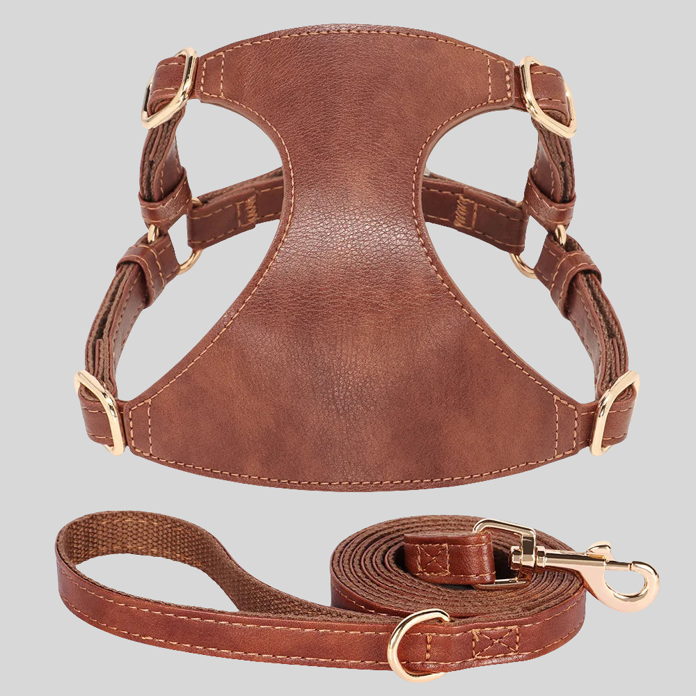 The Milano Leather Harness & Leash Set