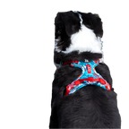 Pet Harness Small Medium Large Split Dog Fashion Outdoor Fashioned Furbabies