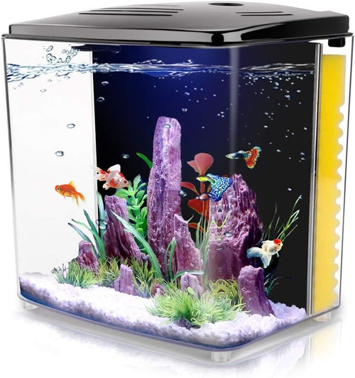 1.2 Gallon Betta Aquarium with LED Light and Filter Pump