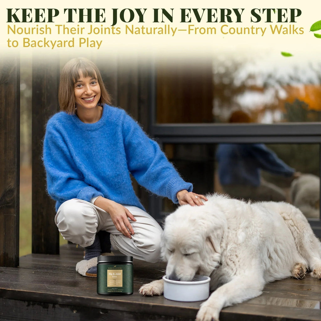 Hip & Joint Supplement for Dogs – Mobility Support for All Breeds Barrow & Hound
