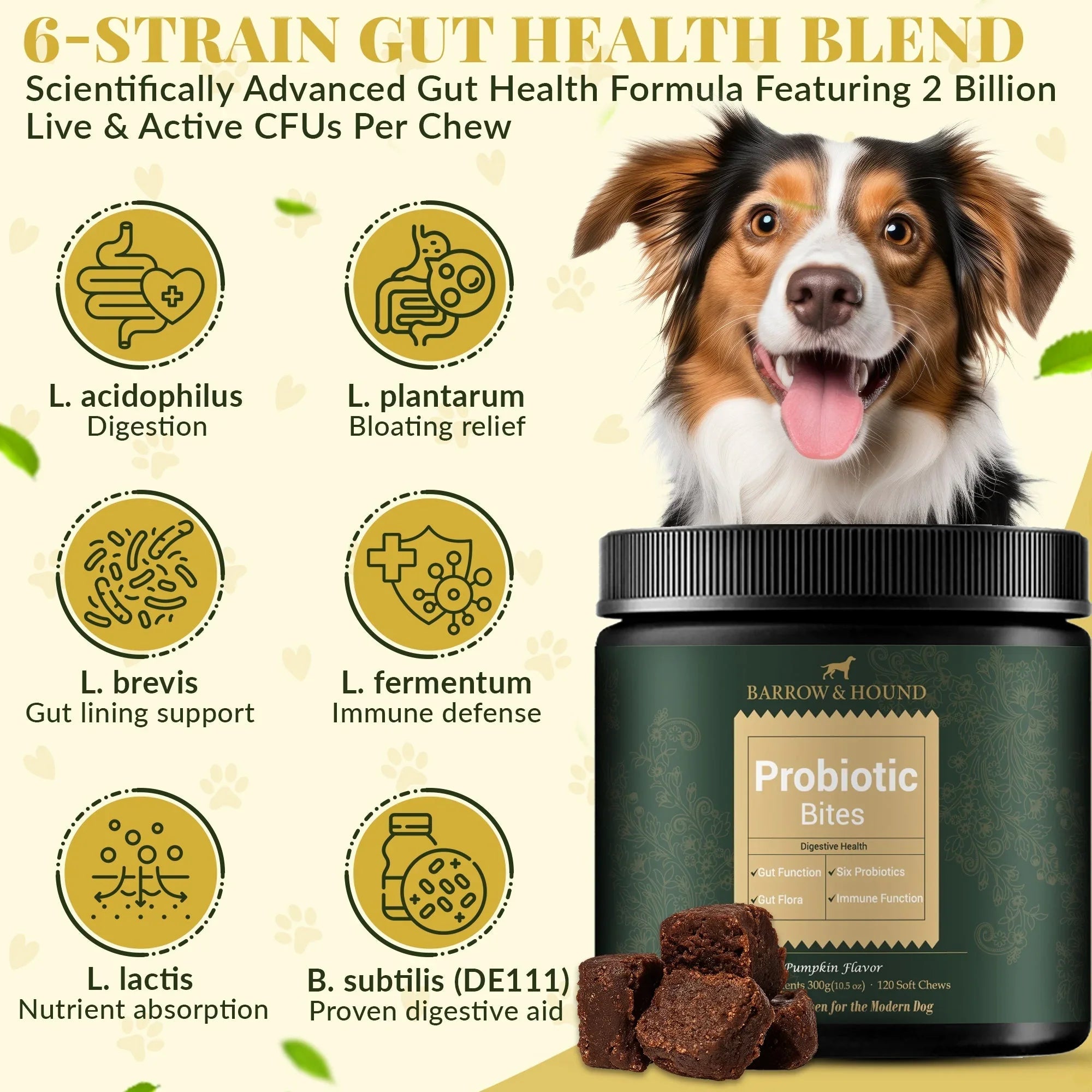 Probiotic Bites for Dogs – Gut Health & Digestive Support Barrow & Hound