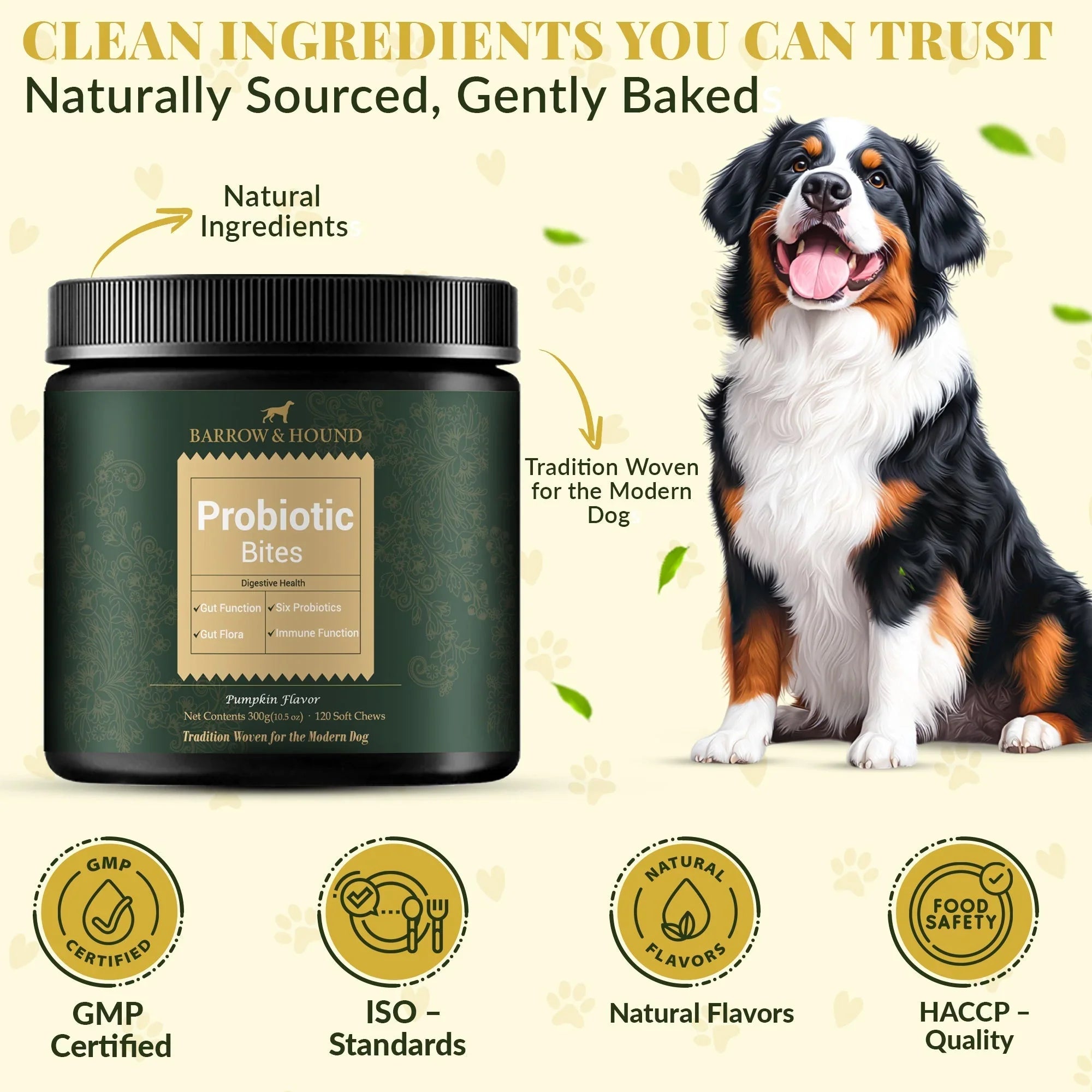 Probiotic Bites for Dogs – Gut Health & Digestive Support Barrow & Hound