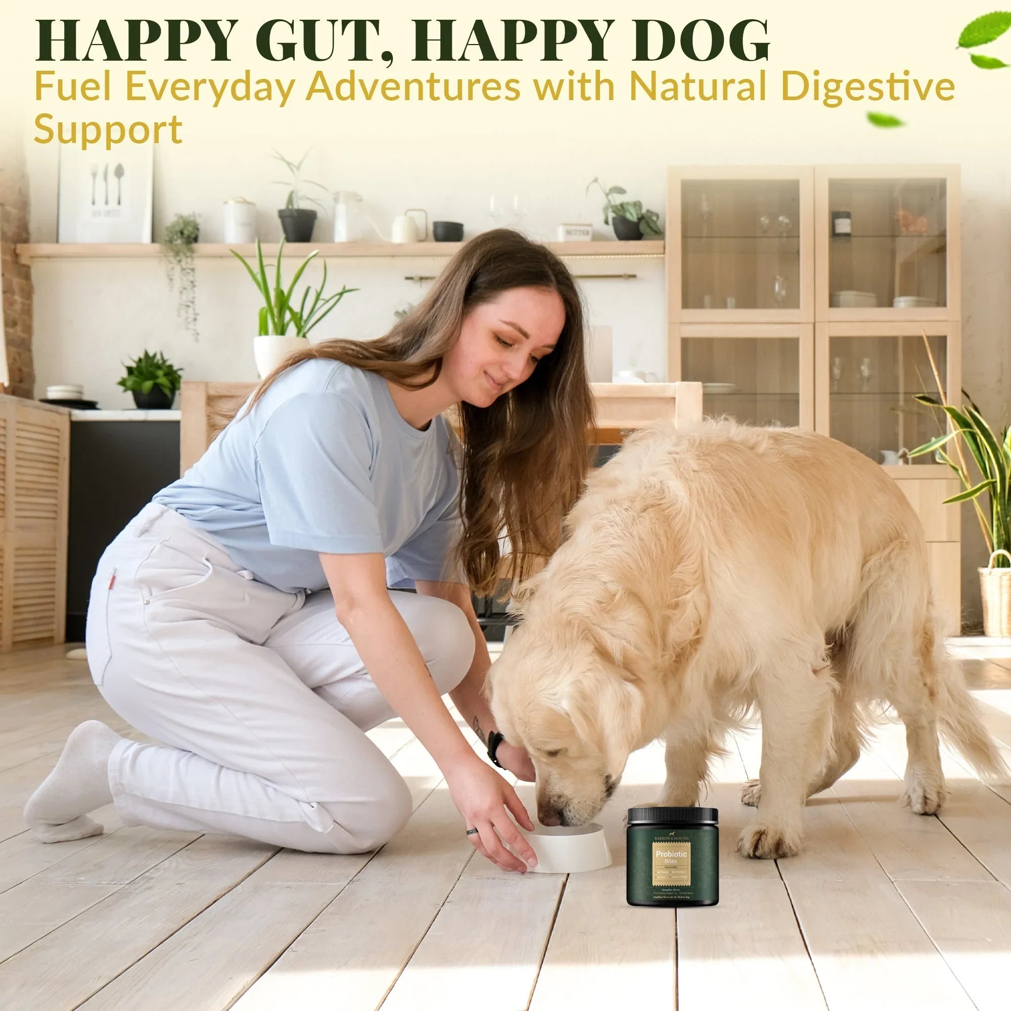 Probiotic Bites for Dogs – Gut Health & Digestive Support Barrow & Hound