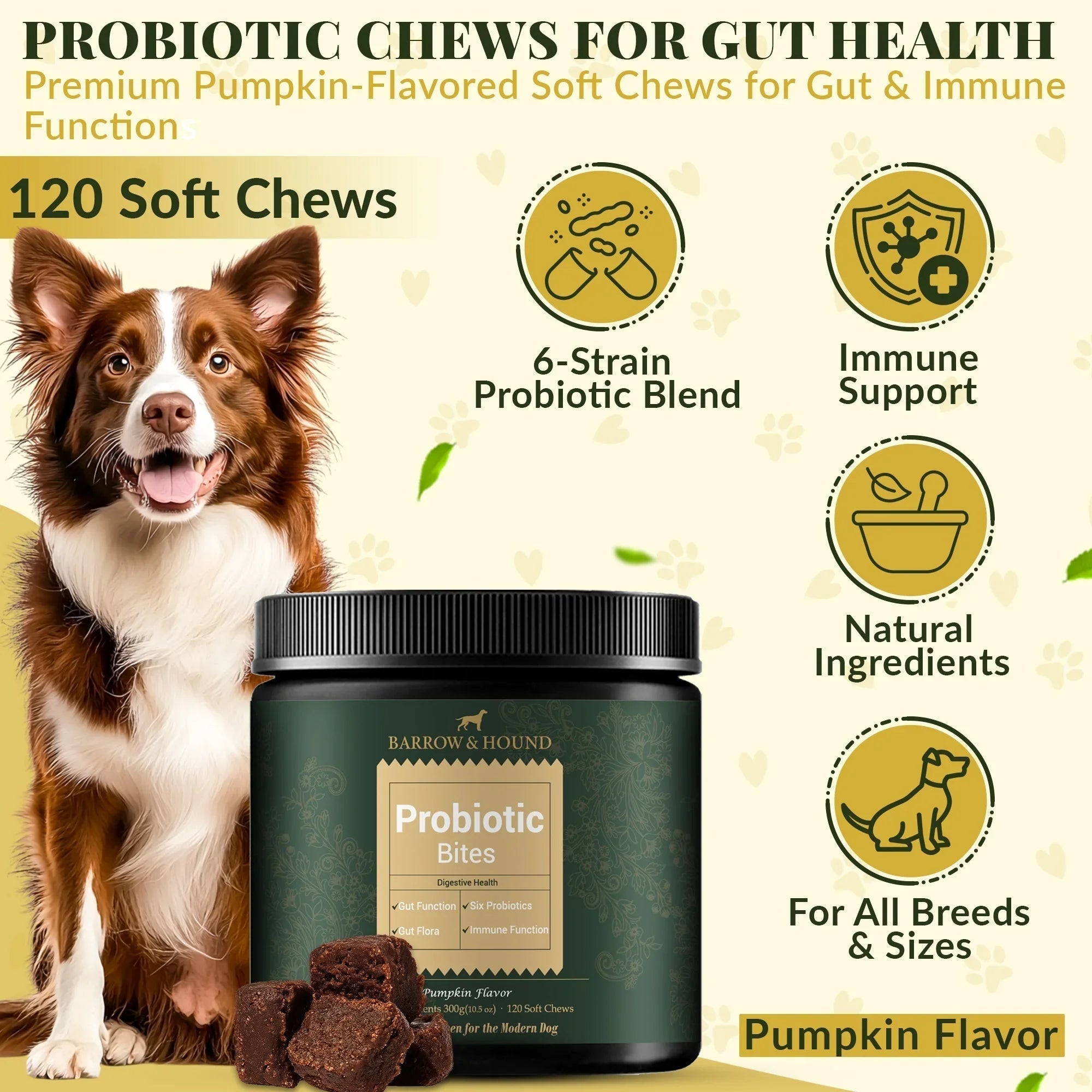 Probiotic Bites for Dogs – Gut Health & Digestive Support Barrow & Hound