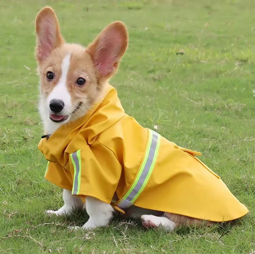 Waterproof hooded rain jackets for medium to large dogs.